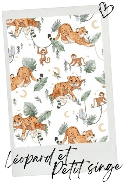 Léopard et Petit singe