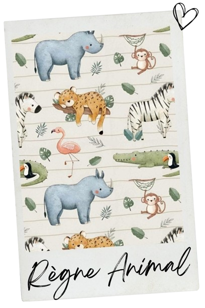 Règne animal