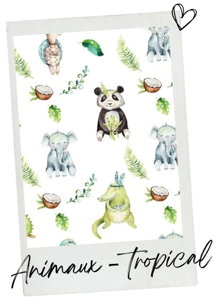 Animaux - Tropical