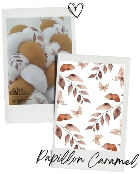 Papillon Caramel