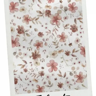Fleurs Eglantine